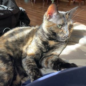 Meet your Posher, Colby